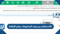 الاستعلام عن رصيد المدفوعات برقم الإقامة 2022