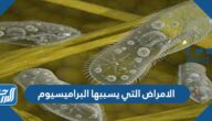 الامراض التي يسببها البراميسيوم