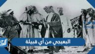 البعيجي من أي قبيلة