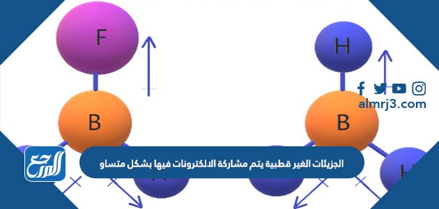 الجزيئات الغير قطبية يتم مشاركة الالكترونات فيها بشكل متساو