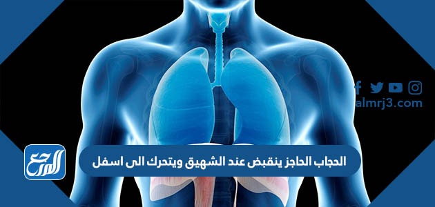 الحجاب الحاجز ينقبض عند الشهيق ويتحرك الى اسفل