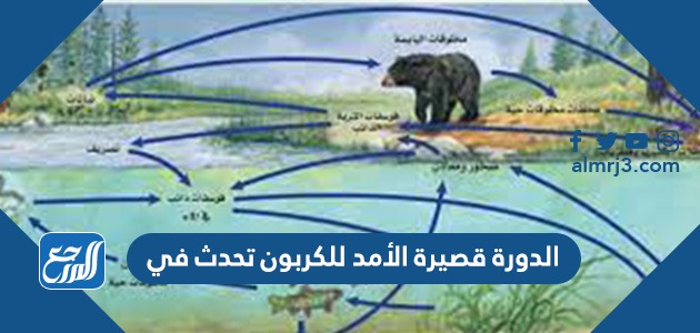 الدورة قصيرة الأمد للكربون تحدث في