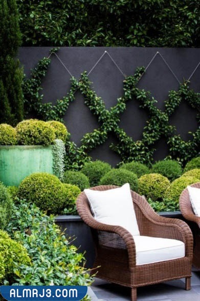 السور الخارجي المُصنع من النباتات