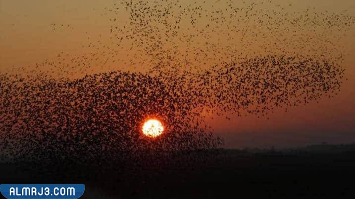 افضل الظواهر الطبيعية المثيرة