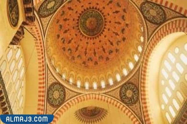 ما هي العقود