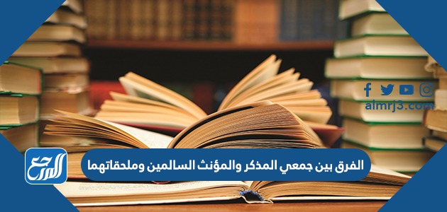 الفرق بين جمعي المذكر والمؤنث السالمين وملحقاتهما