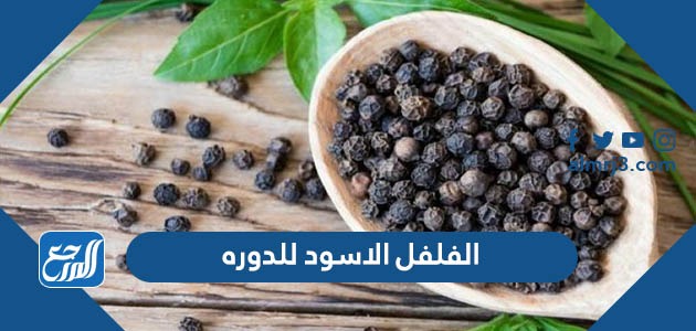 الفلفل الاسود للدورة