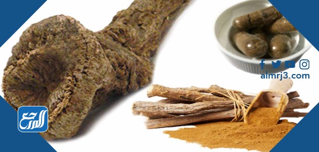 القسط الهندي