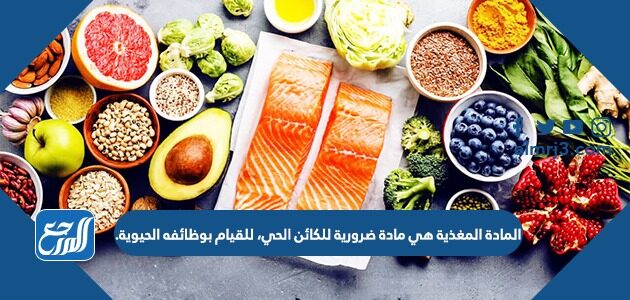 المادة المغذية هي مادة ضرورية للكائن الحي، للقيام بوظائفه الحيوية.