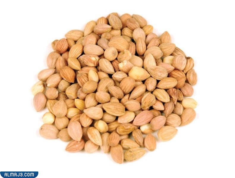 نبات المحلب