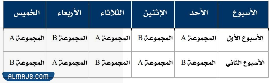 المراحل الابتدائية والمتوسطة والثانوية