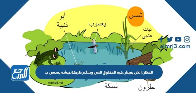 المكان الذي يعيش فيه المخلوق الحي ويلائم طريقة عيشه يسمى ب