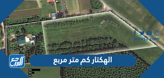 الهكتار كم متر مربع