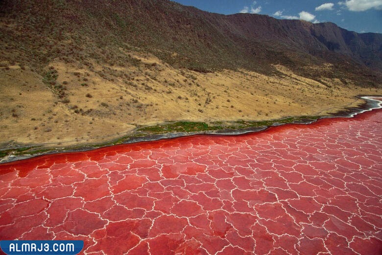 افضل الظواهر الطبيعية المثيرة