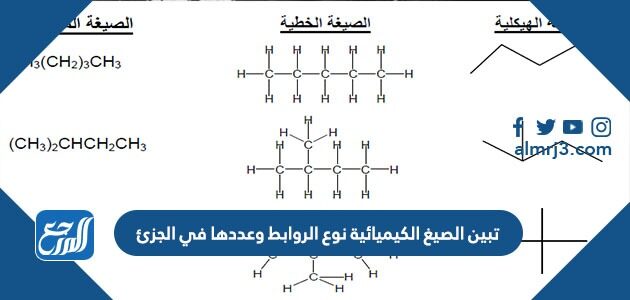 تبين الصيغ الكيميائية نوع الروابط وعددها في الجزئ