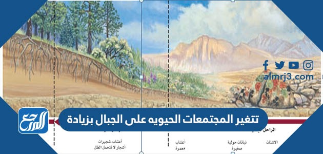تتغير المجتمعات الحيويه على الجبال بزيادة