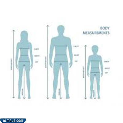 تجربتي في تقصير طولي