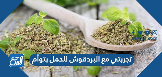 تجربتي مع البردقوش للحمل بتوأم