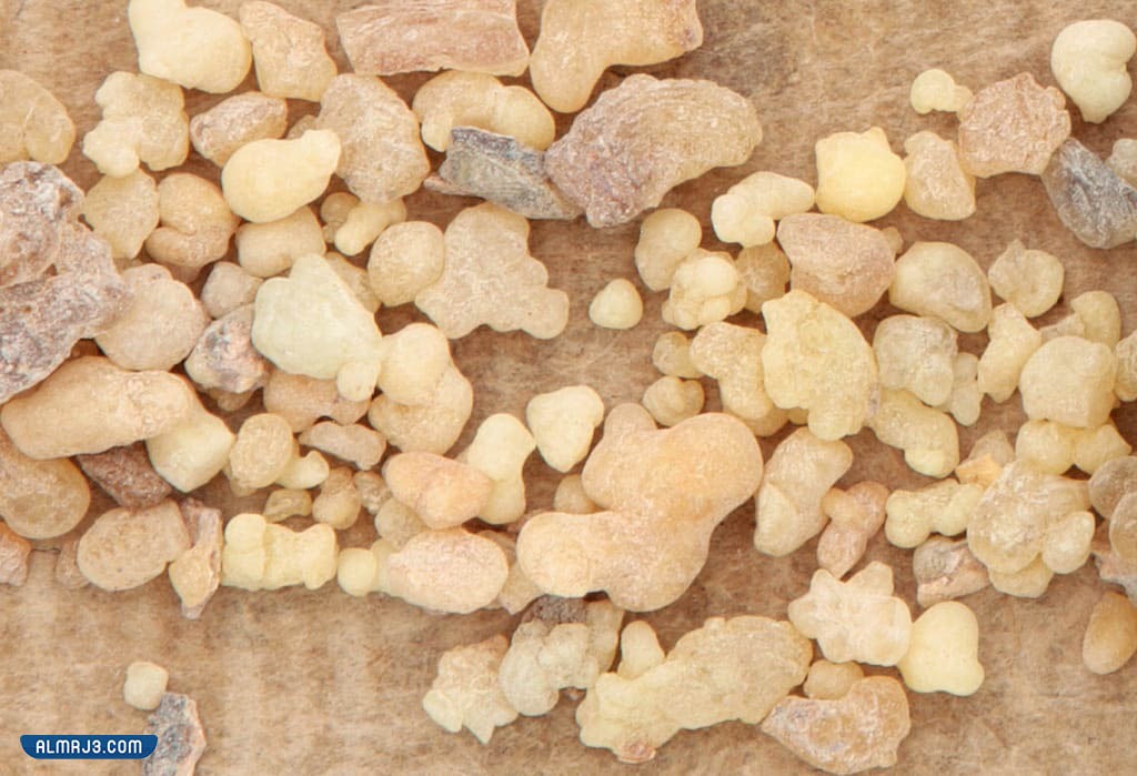 تجربتي مع بخور اللبان