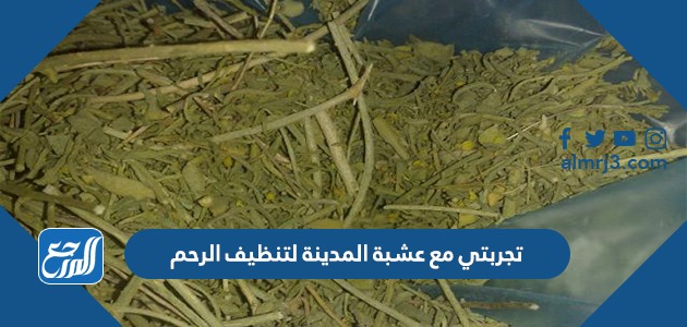 تجربتي مع عشبة المدينة لتنظيف الرحم