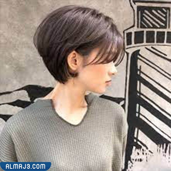 تسريحة الباجي بوي