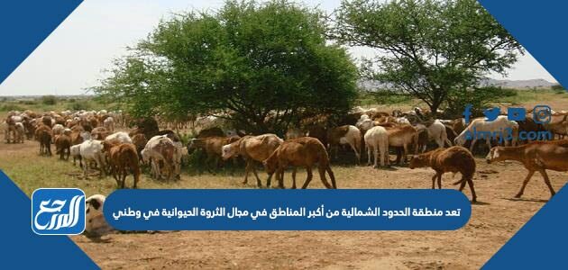 تعد منطقة الحدود الشمالية من أكبر المناطق في مجال الثروة الحيوانية في وطني