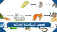 تعريف السلسلة الغذائية تعريف السلسلة الغذائية