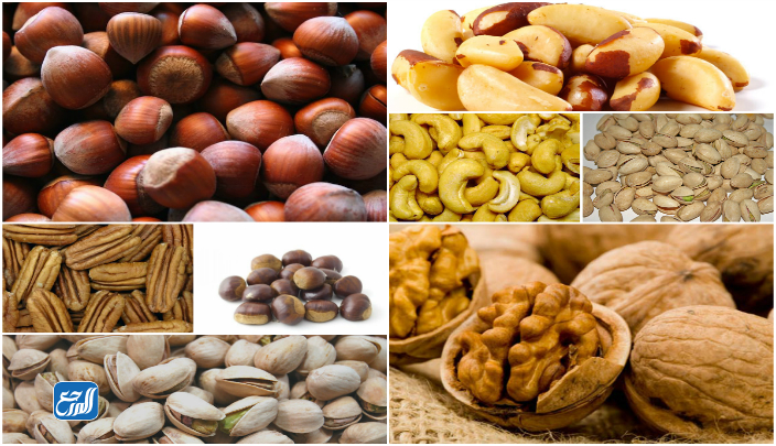 تعريف المكسرات ويكيبيديا