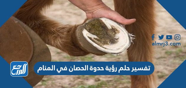تفسير حلم رؤية حدوة الحصان في المنام