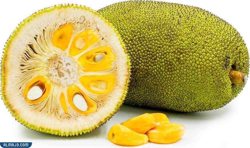 أغرب أنواع الفواكه وأسمائها بالصور - جاك فروت