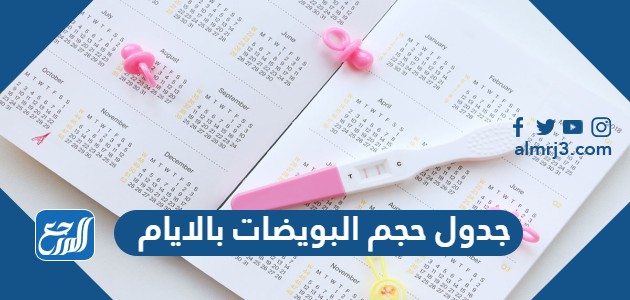 جدول حجم البويضات بالايام