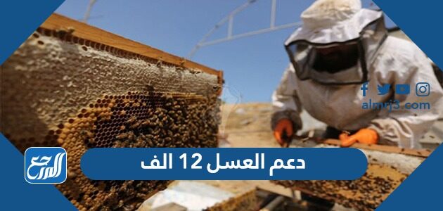 دعم العسل 12 الف