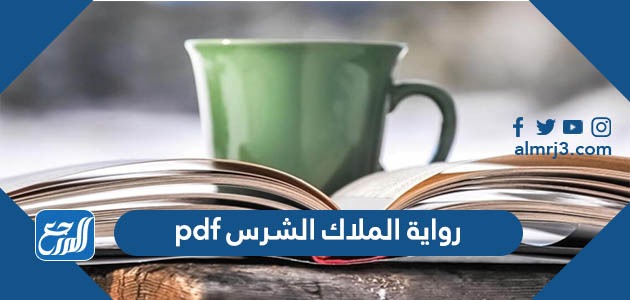 رواية الملاك الشرس pdf