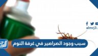 سبب وجود الصراصير في غرفة النوم