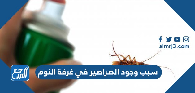 سبب وجود الصراصير في غرفة النوم