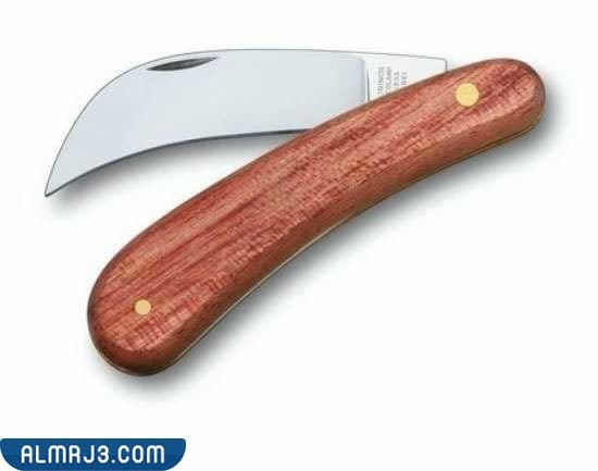 سكين التطعيم