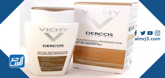 شامبو فيتشي