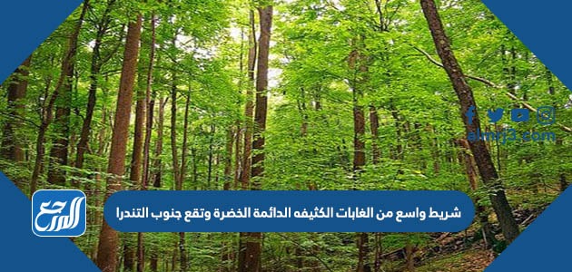 شريط واسع من الغابات الكثيفه الدائمة الخضرة وتقع جنوب التندرا