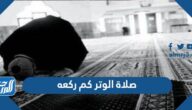 صلاة الوتر كم ركعه وكيفية صلاتها