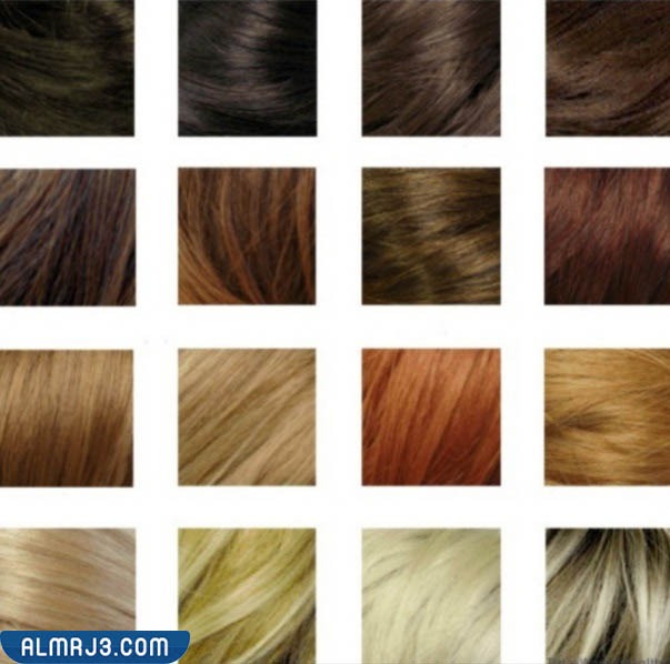 طريقة استخدام الصبغة للتخلص من الشيب