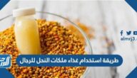 طريقة استخدام غذاء ملكات النحل للرجال طريقة استخدام غذاء ملكات النحل للرجال