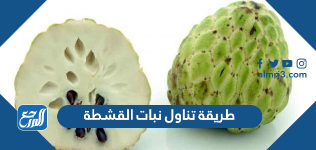 طريقة تناول نبات القشطة