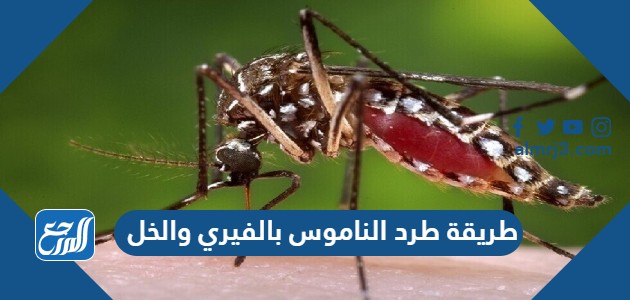 طريقة طرد الناموس بالفيري والخل