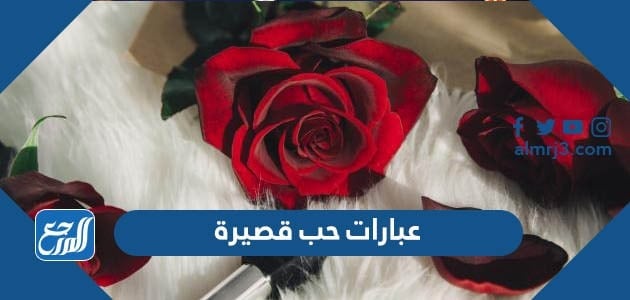 عبارات حب قصيرة