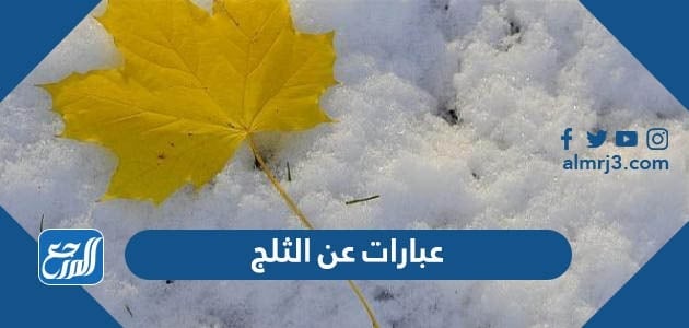 عبارات عن الثلج