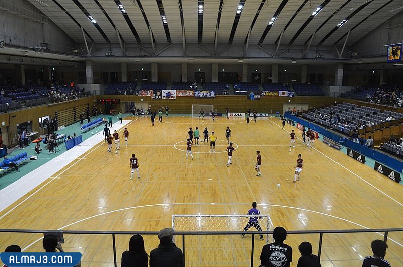 عدد لاعبي كرة قدم الصالات