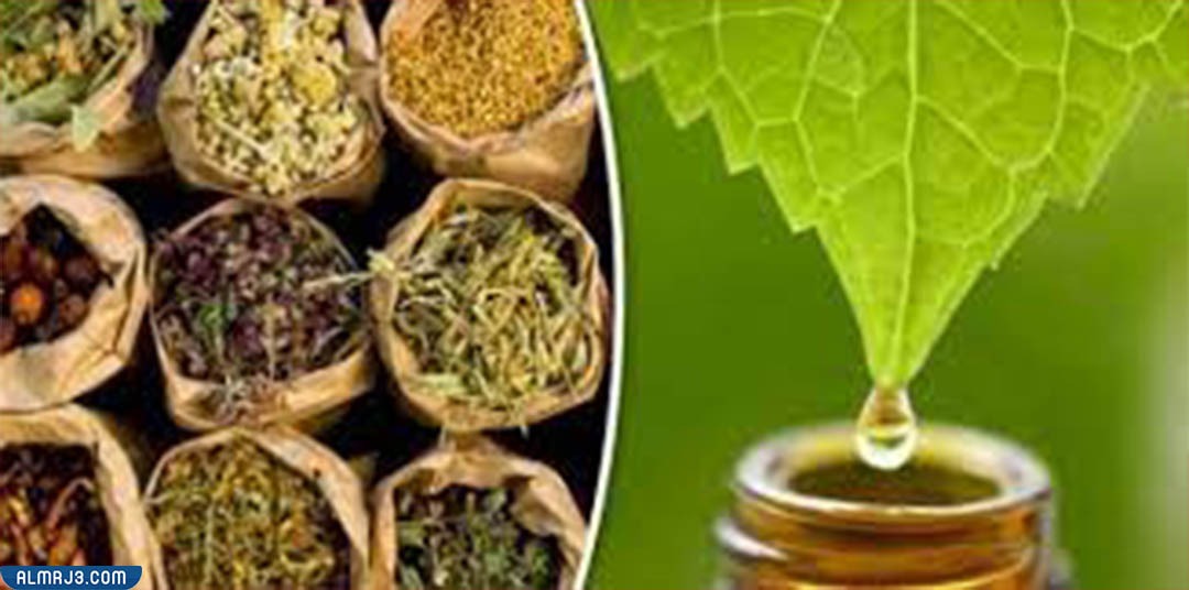 علاج تساقط الشعر الشديد عند النساء بالاعشاب