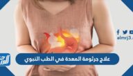 علاج جرثومة المعدة في الطب النبوي علاج جرثومة المعدة في الطب النبوي
