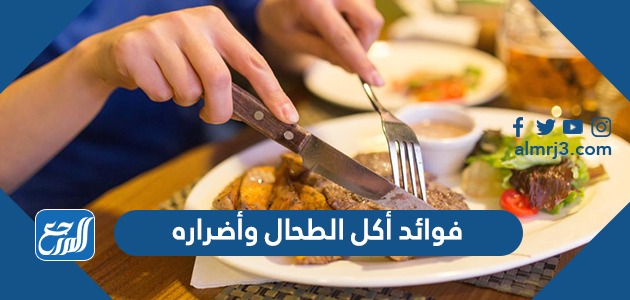 فوائد أكل الطحال وأضراره