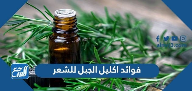 فوائد اكليل الجبل للشعر